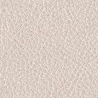 Luxtan Ivory|luxtan-ivory