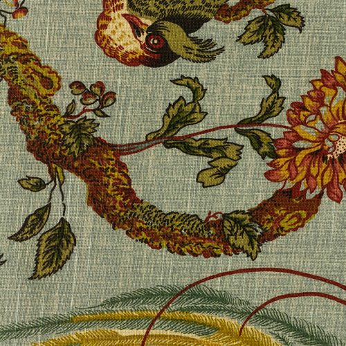Peacock|peacock